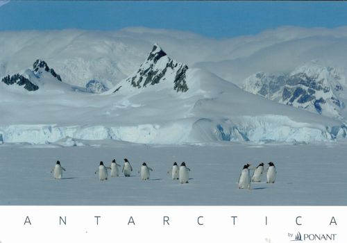 南極からの手紙